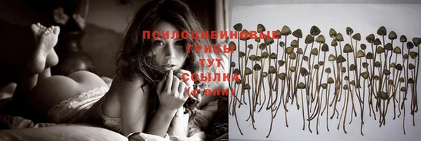прущие крисы Балабаново