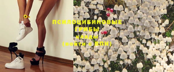 прущие крисы Балабаново