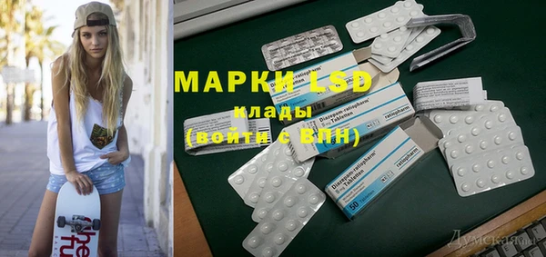 ПСИЛОЦИБИНОВЫЕ ГРИБЫ Баксан